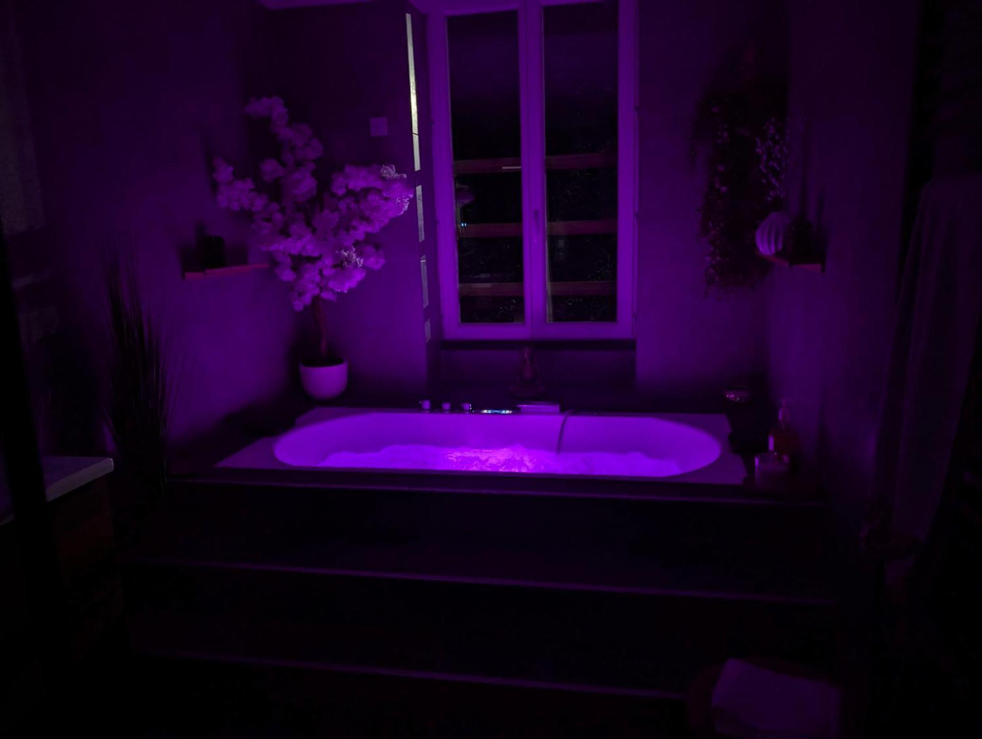 Le Spa - Villa Valmy - Hypercentre - Gare Sncf 몽뤼꽁 외부 사진